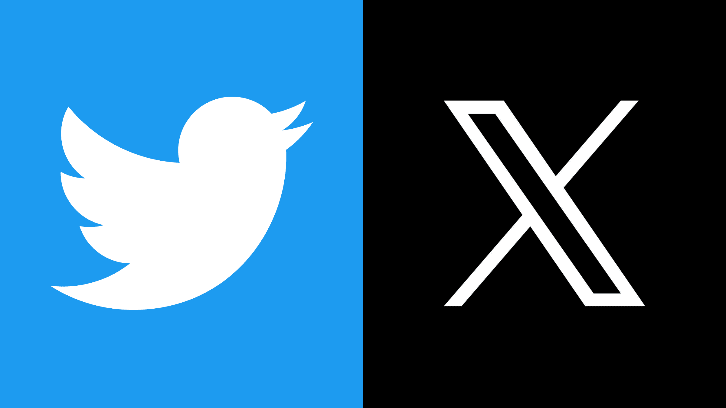 Twitter Logo: Everything You Need to Know About the Iconic Blue Bird