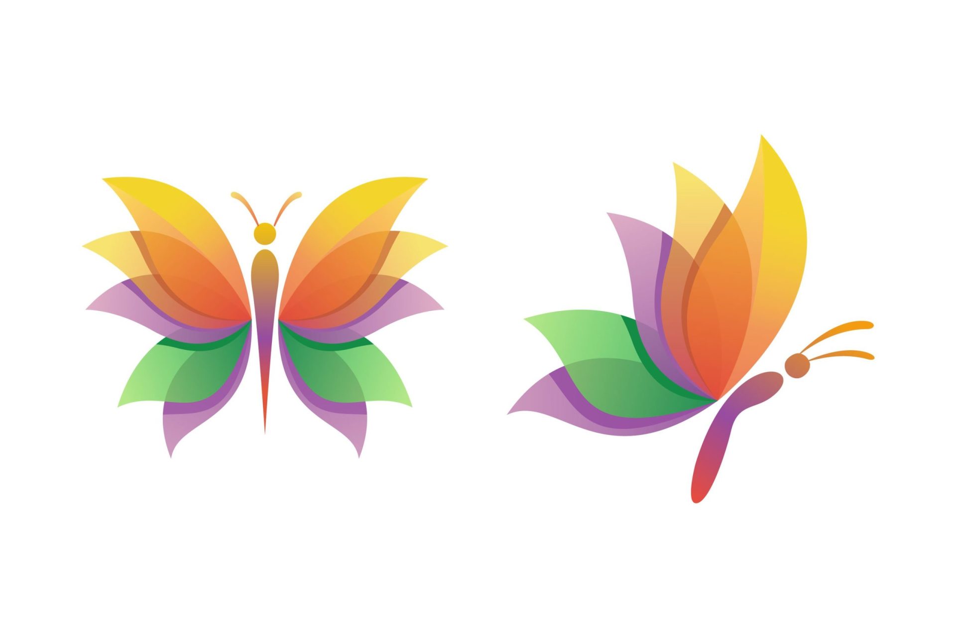 Butterfly Logo Vector Graphic by lordottori · Creative Fabrica