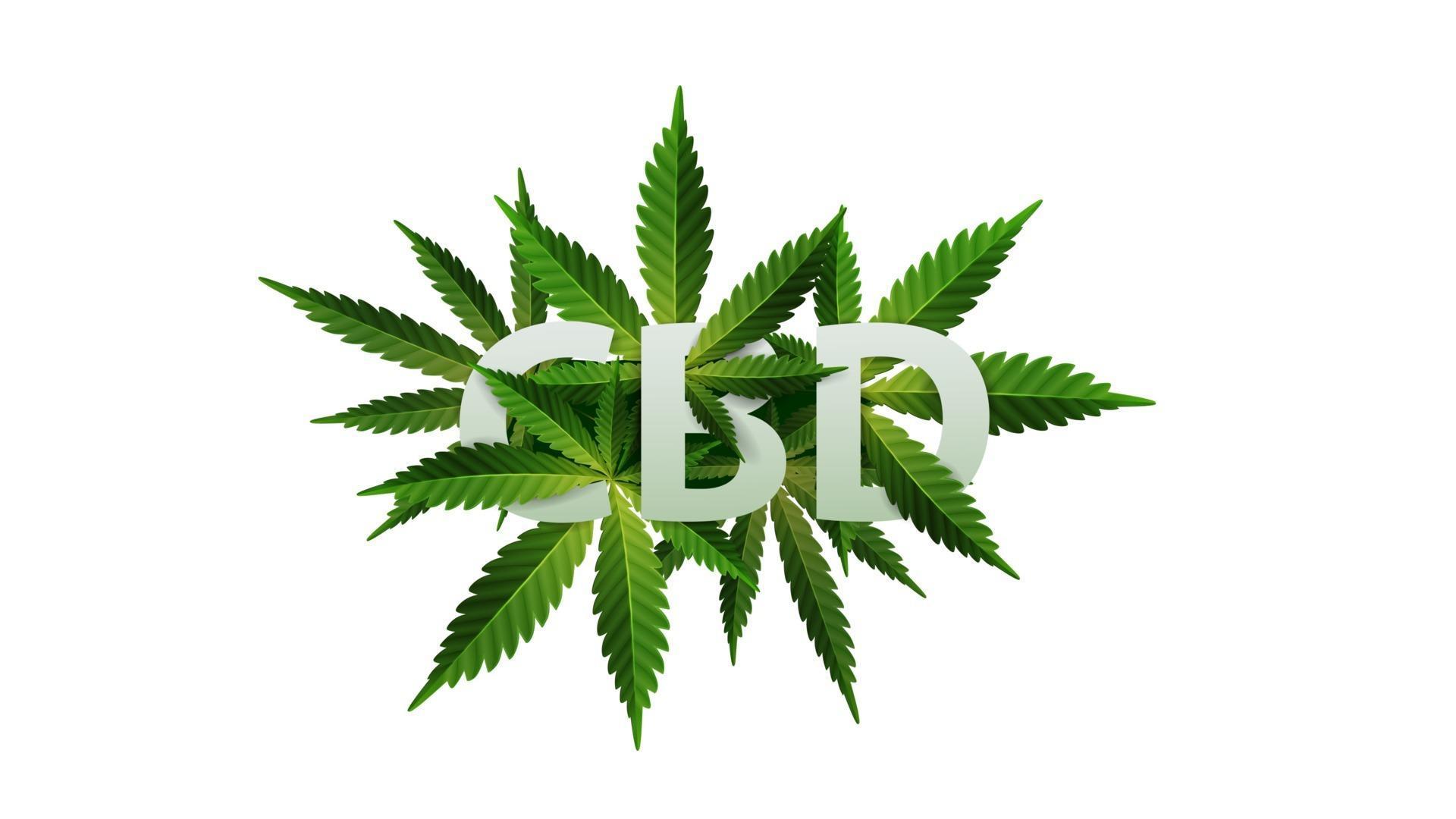 cbd logo ideas 1