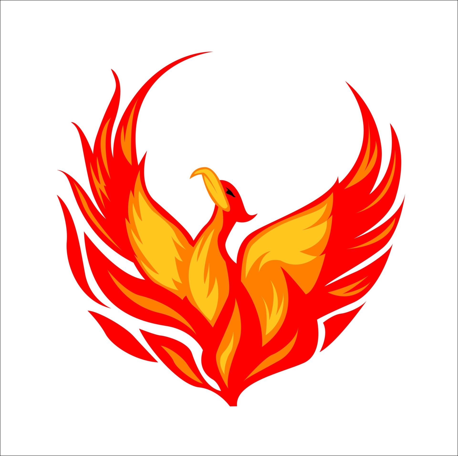 phoenix logo ideas 2