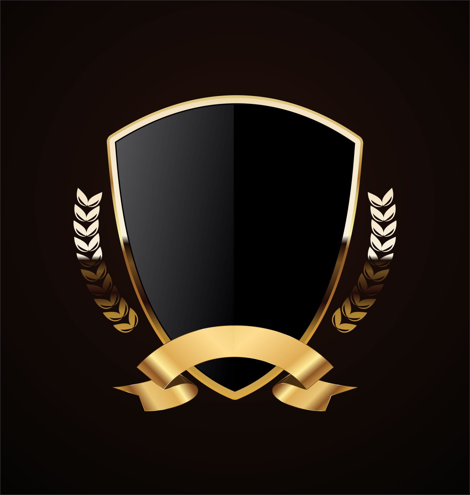 shield logo ideas 1
