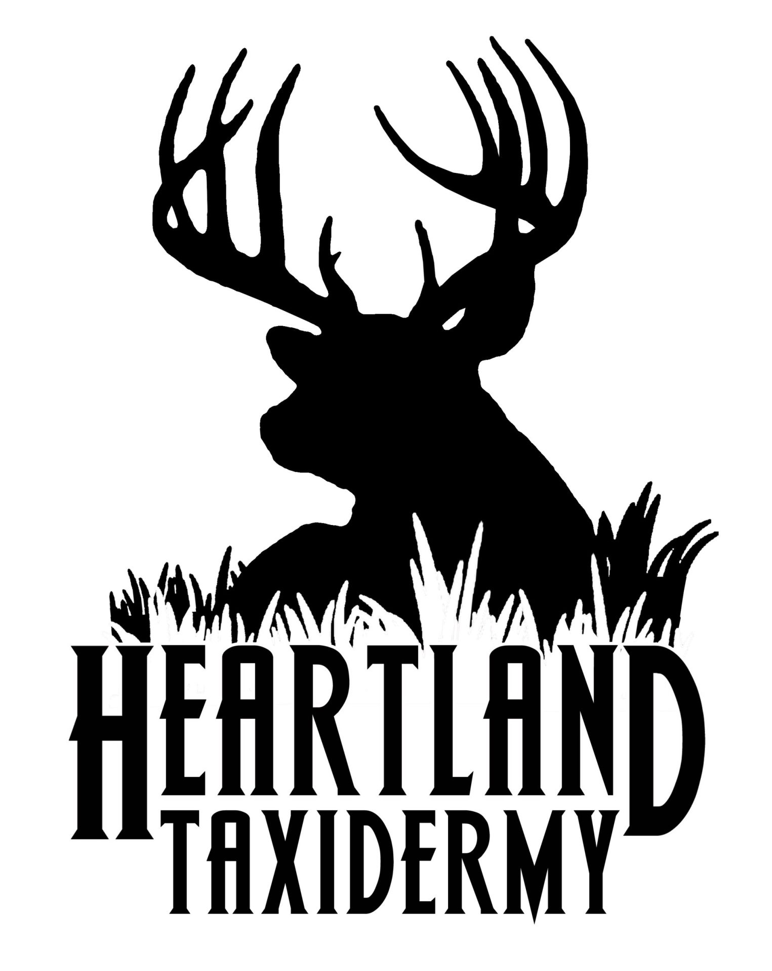 taxidermy logo ideas 3